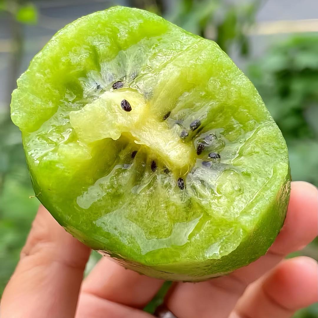 众芸智选产地助农