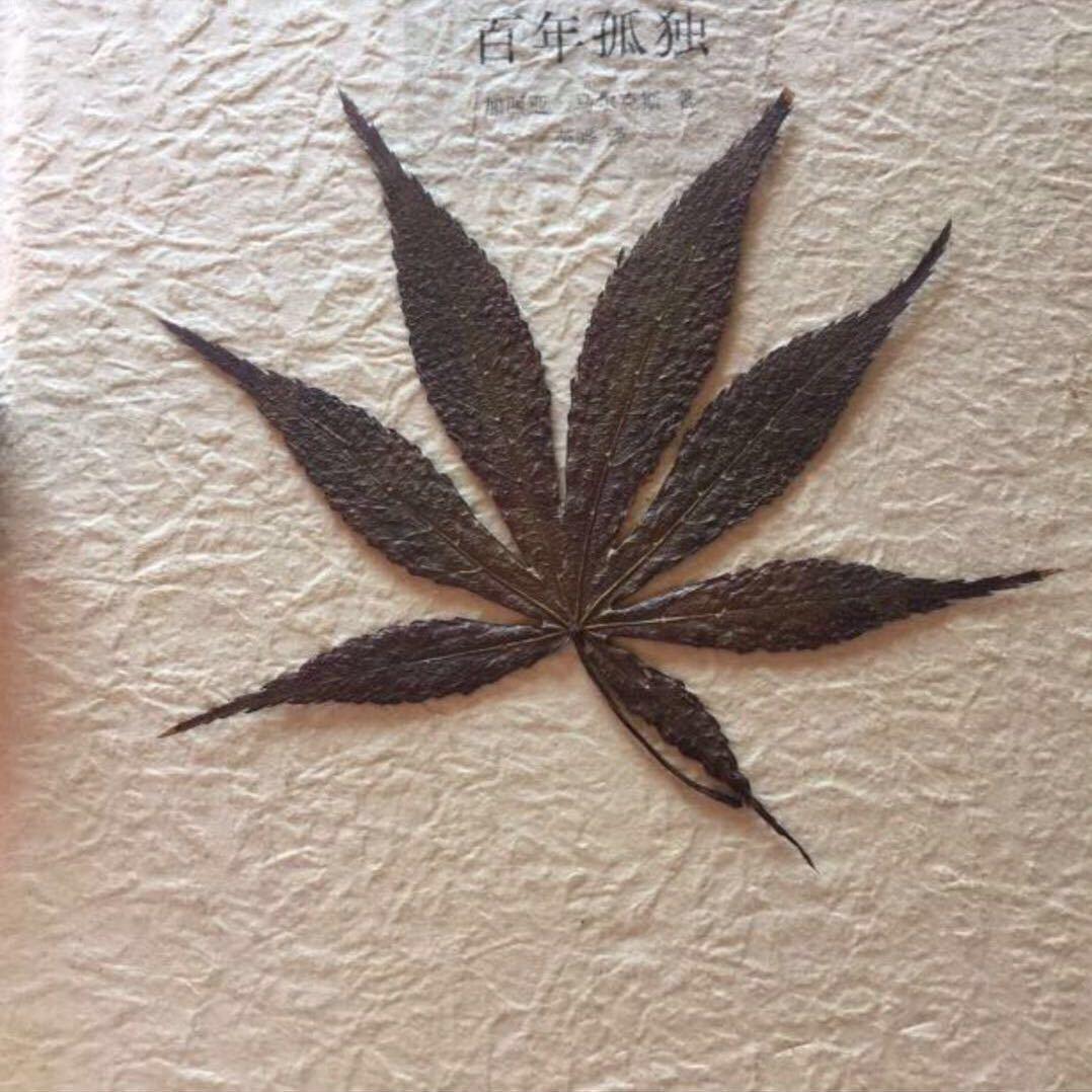 今天，明天，后天
