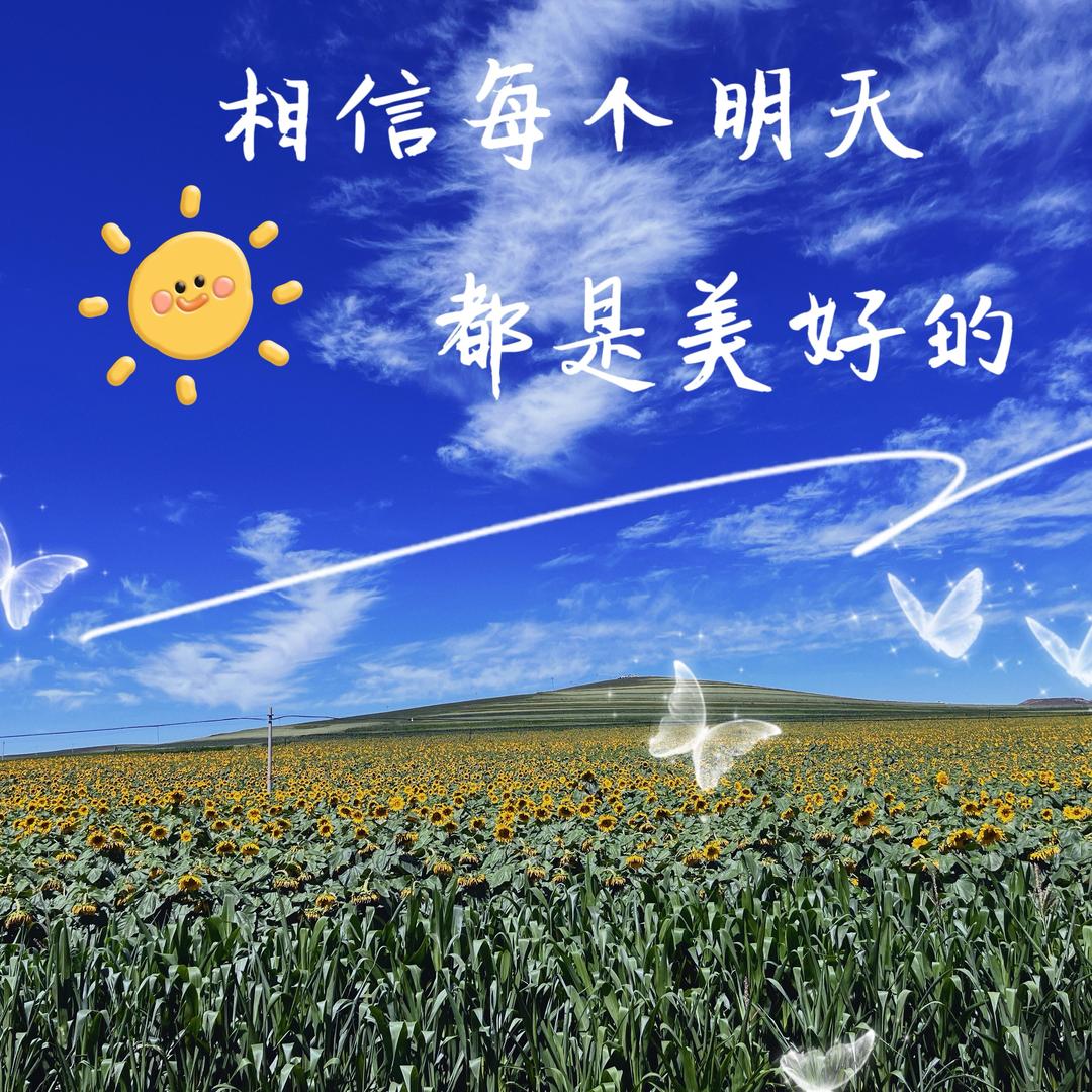昨夜幽幽星辰