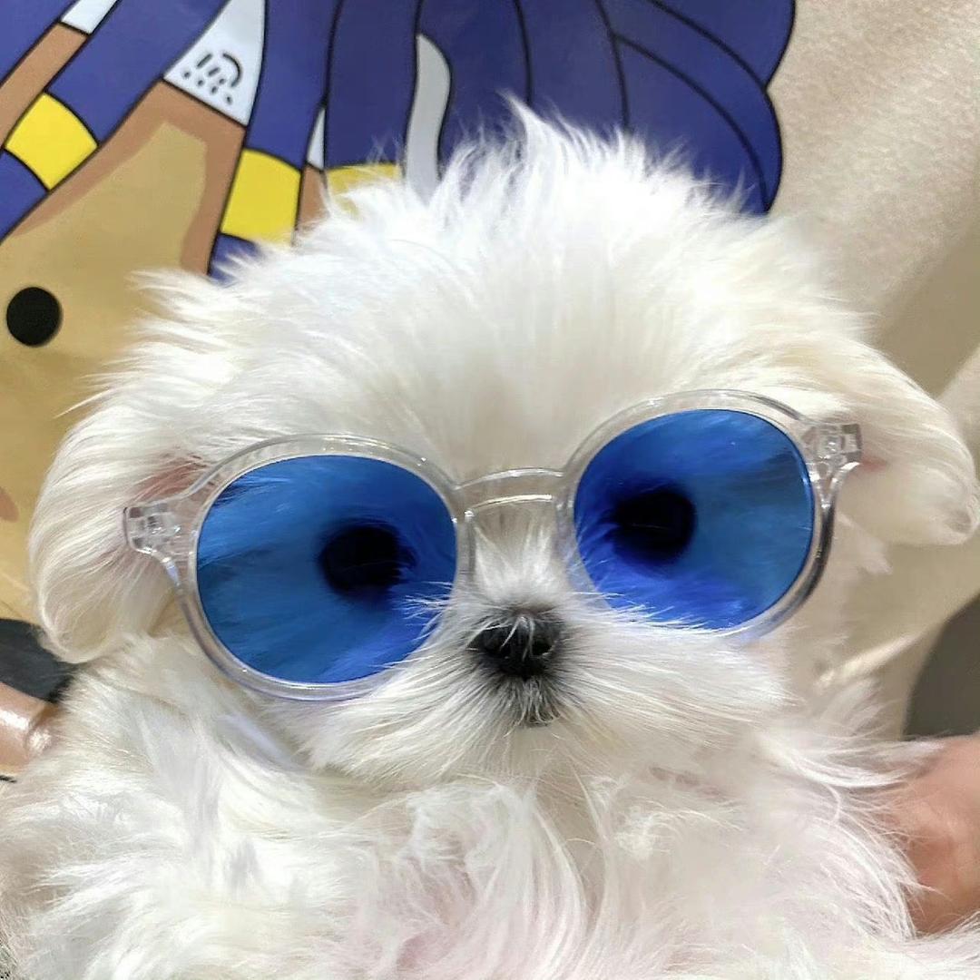 短剧发盐人