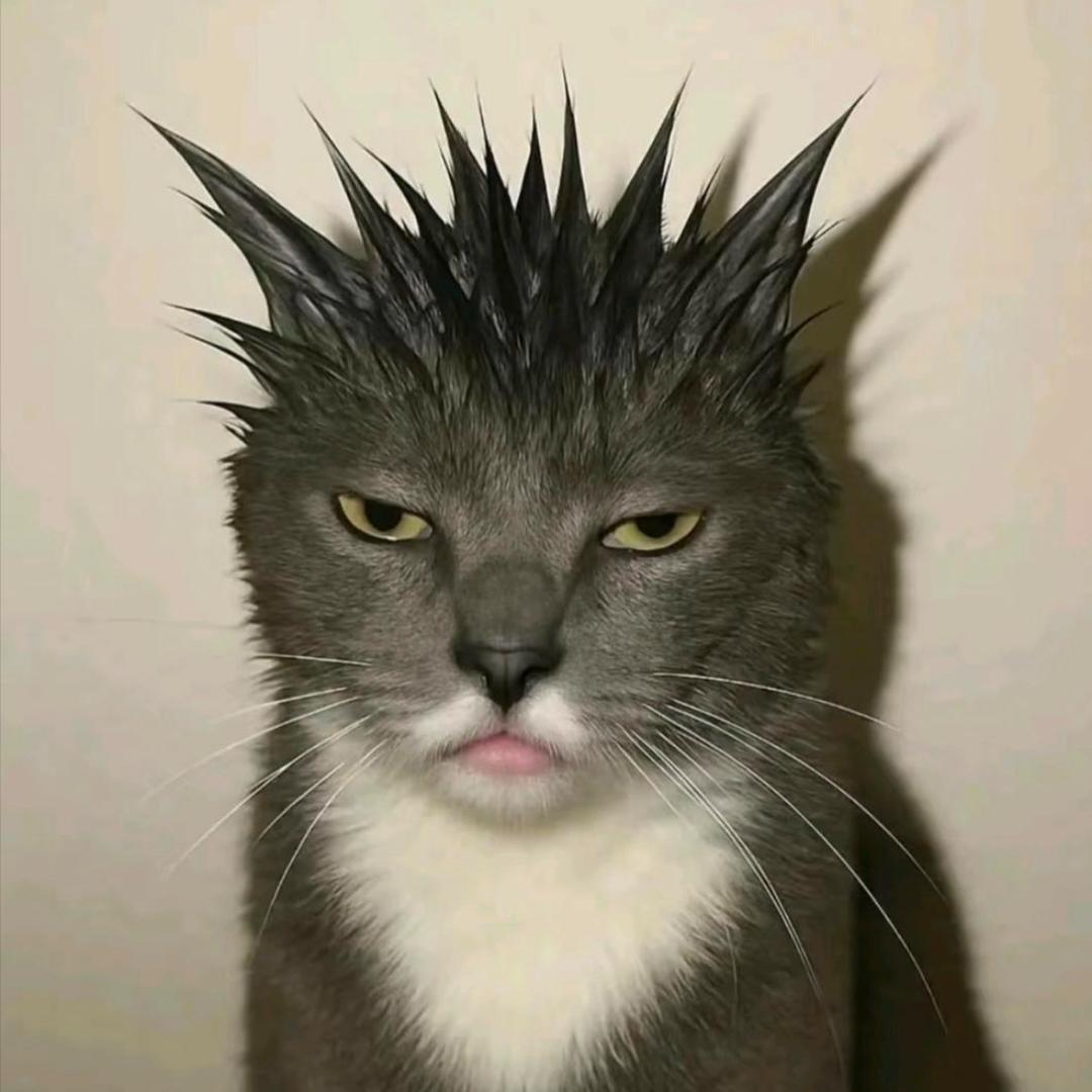 当年