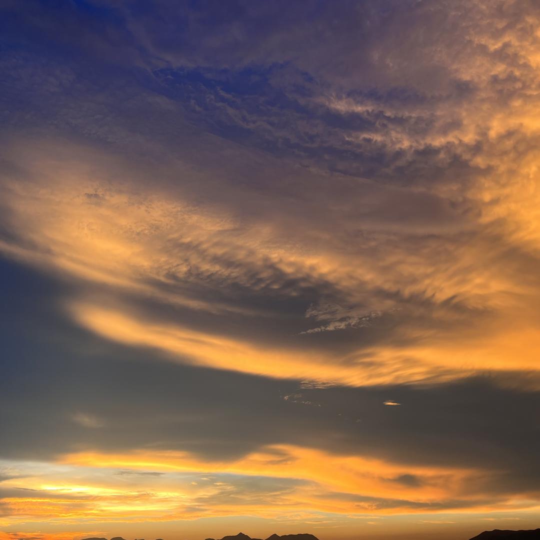 哇袜哇裤袜丝袜