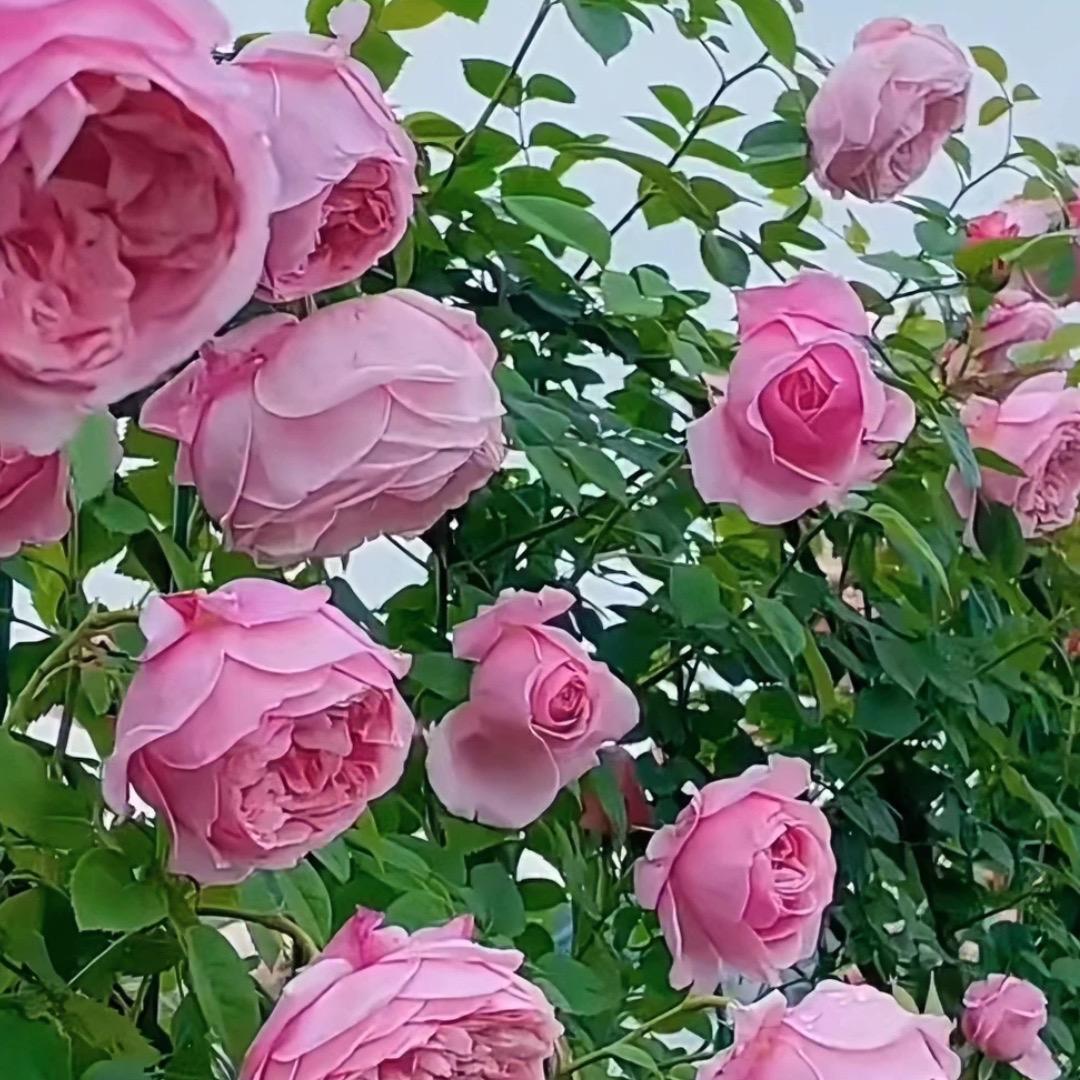 南润通百货精选铺