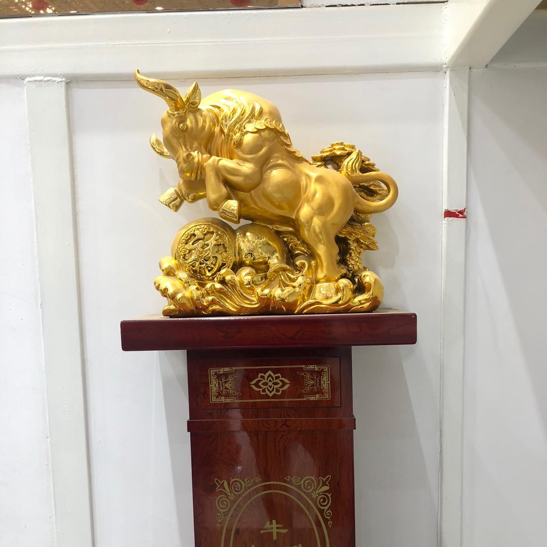 鹏少说车