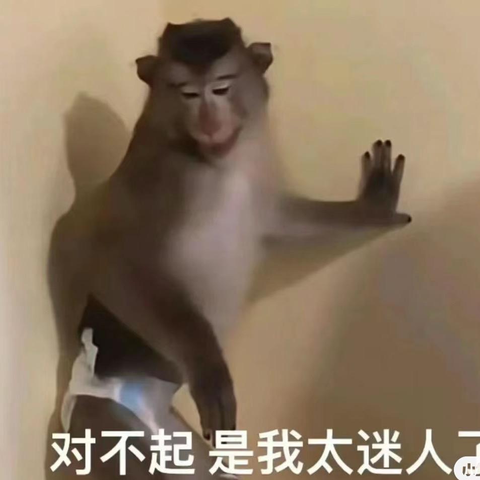 花果山在逃母猴