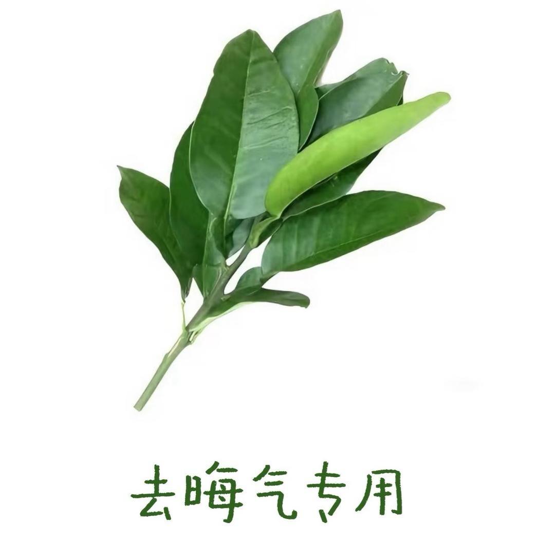 笨蛋比个耶