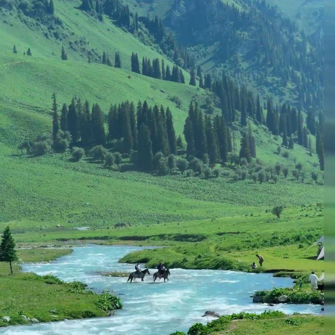 族锐优品西域小刀2号