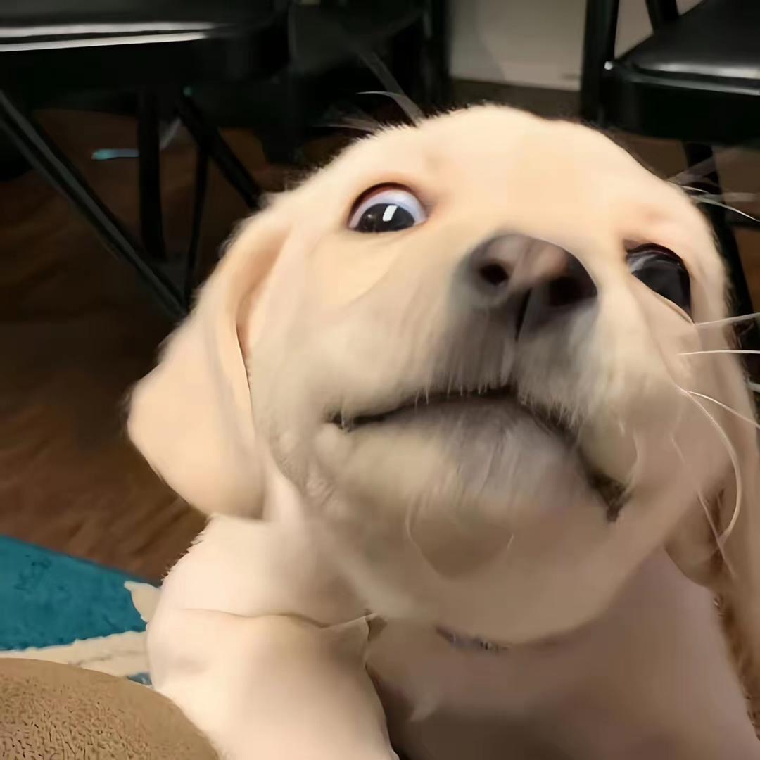 二十三