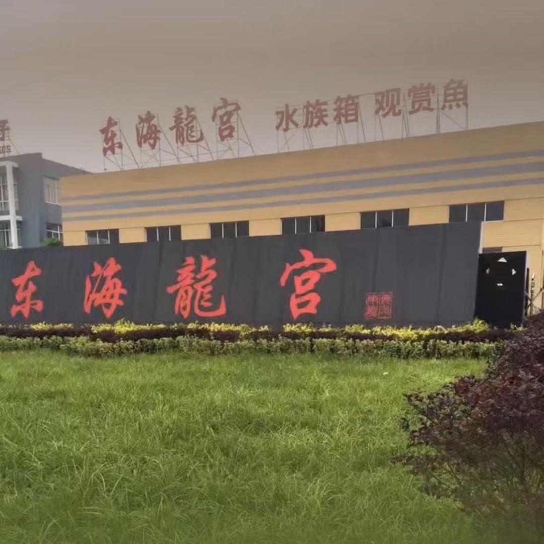 东海龙宫锦鲤二店