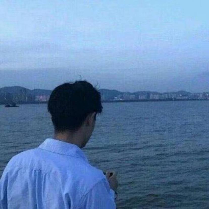 灰羊羊