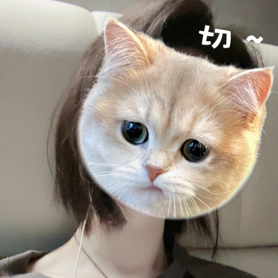 伍壹壹