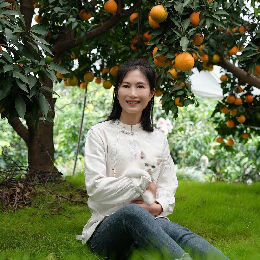 四季绿乡