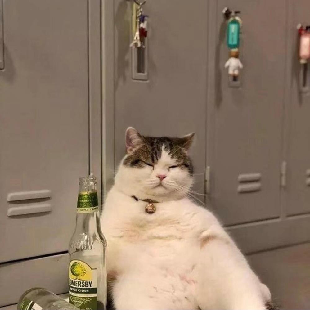 天天天天天天天天天天