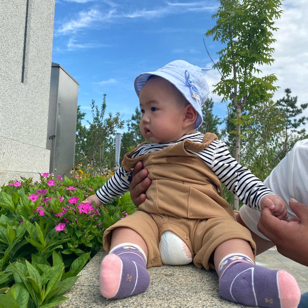布兰tai👶