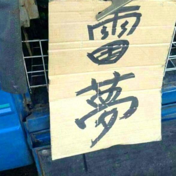 嘻嘻不熙熙