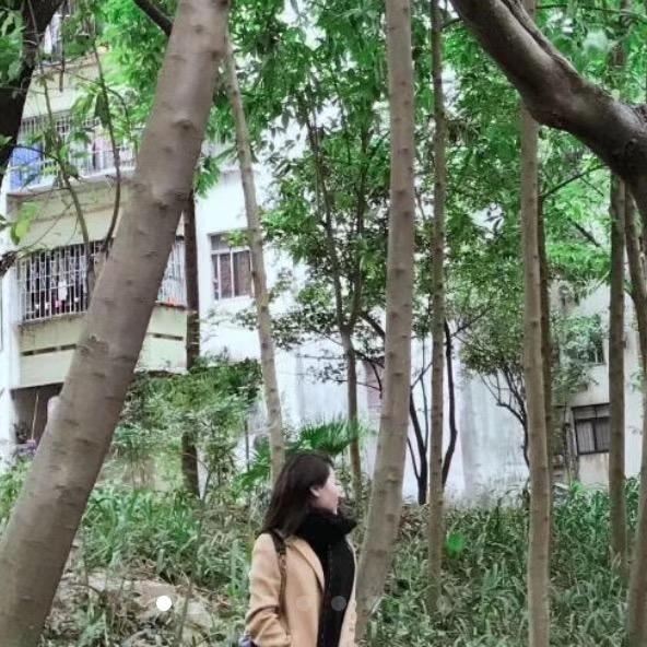 何女士