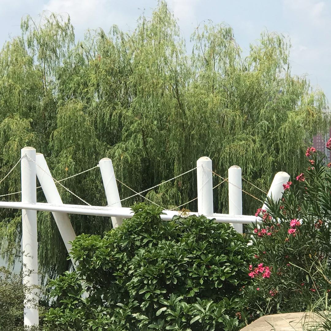 冷酷搞笑小魔王