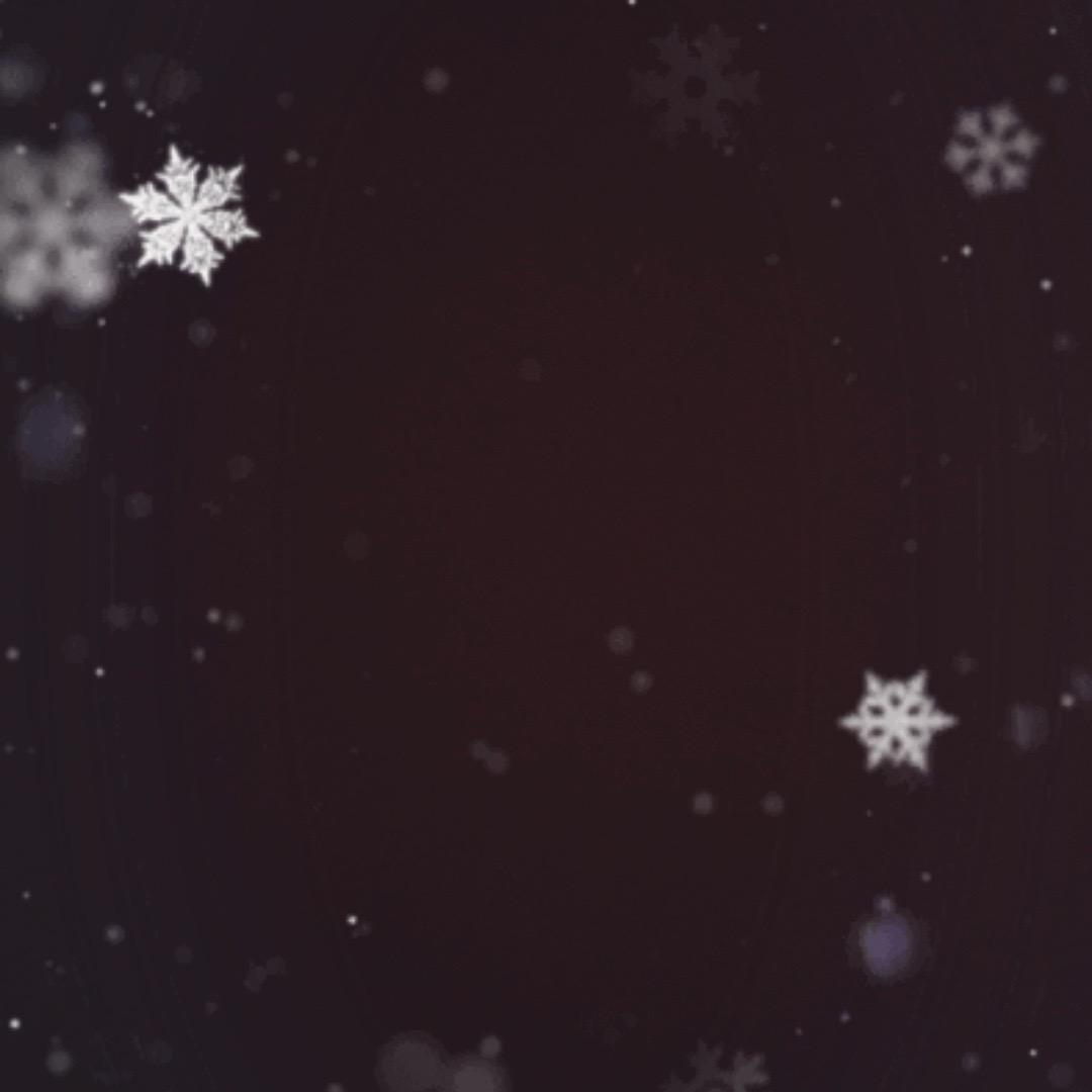 雪狐老白