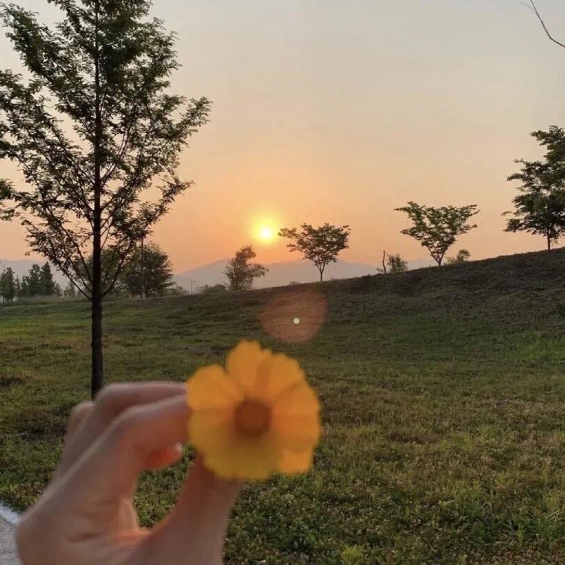 皆皆爱分享