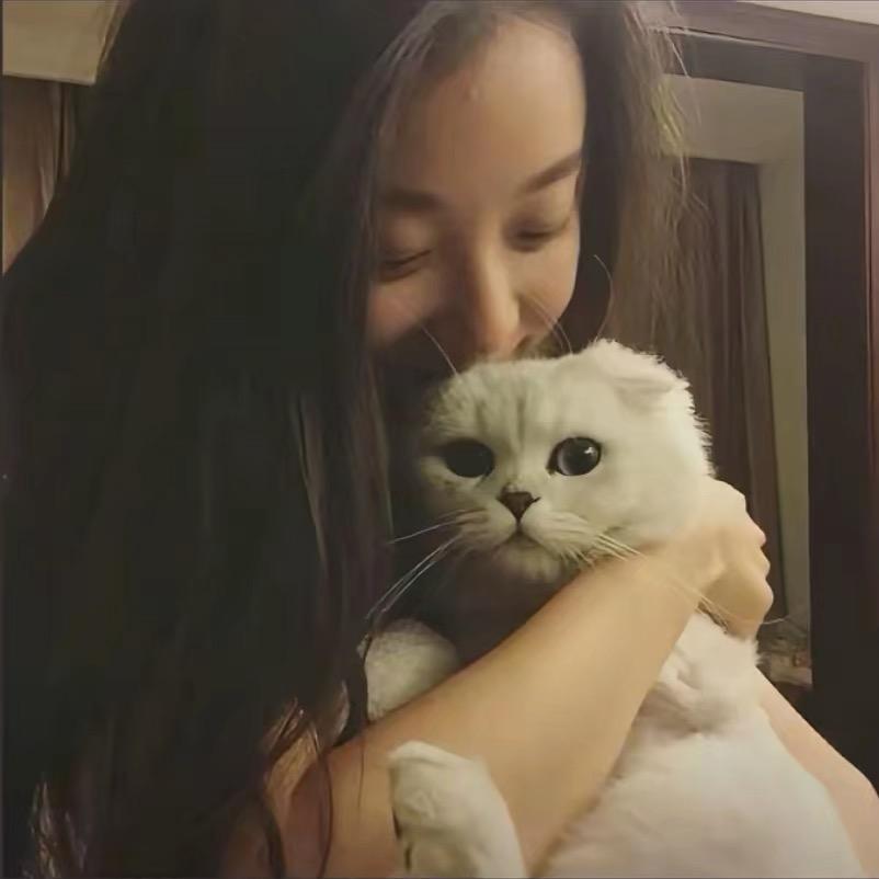 橘纸！