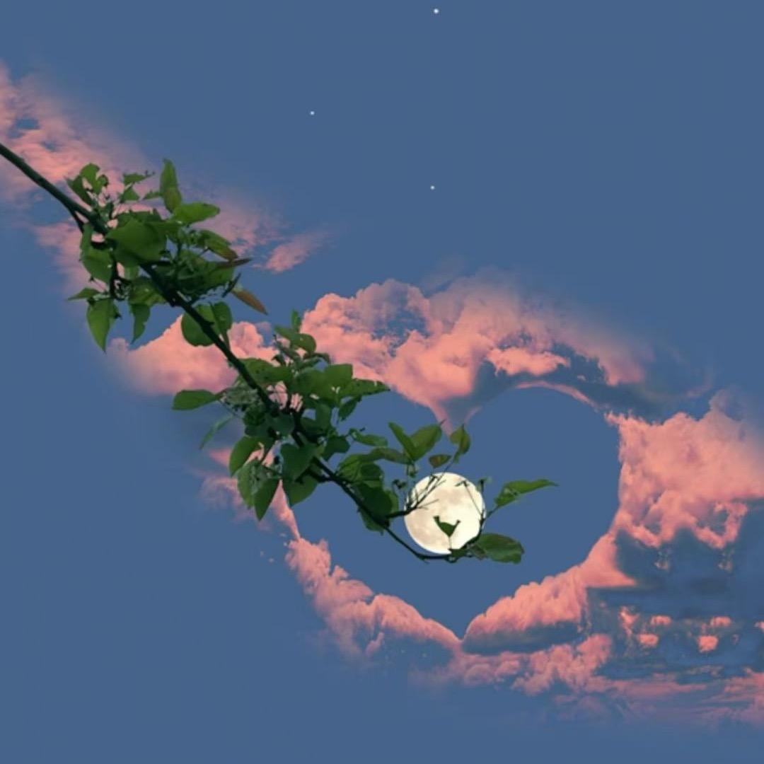 别等我死❤️再说