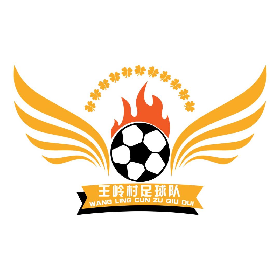 王岭村足球队（贵州村超）