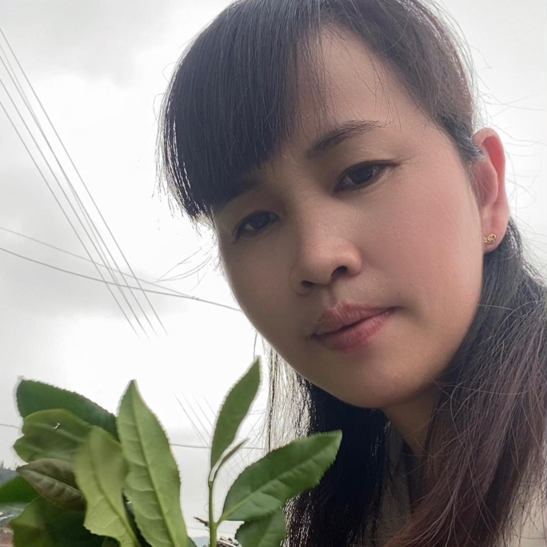 爱茶之人
