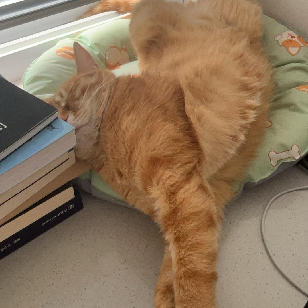 不加葱的咸黏住