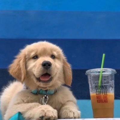 封丘首家横县鱼生