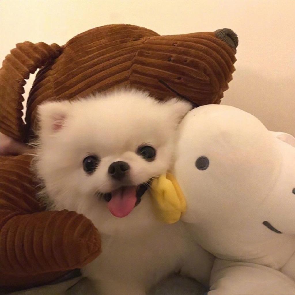 九沅