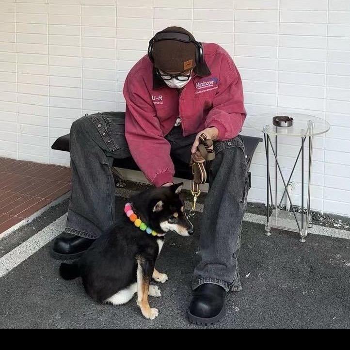 飞天小野猪