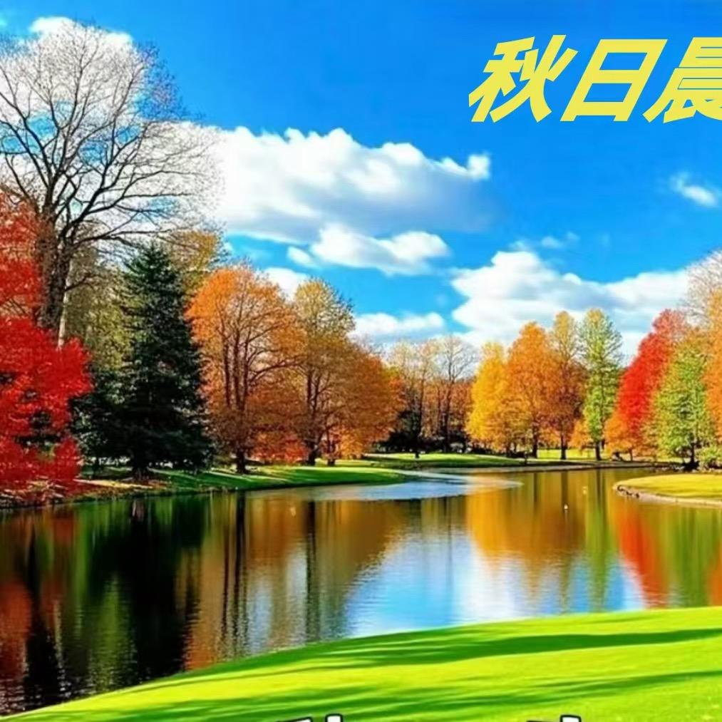 云杉