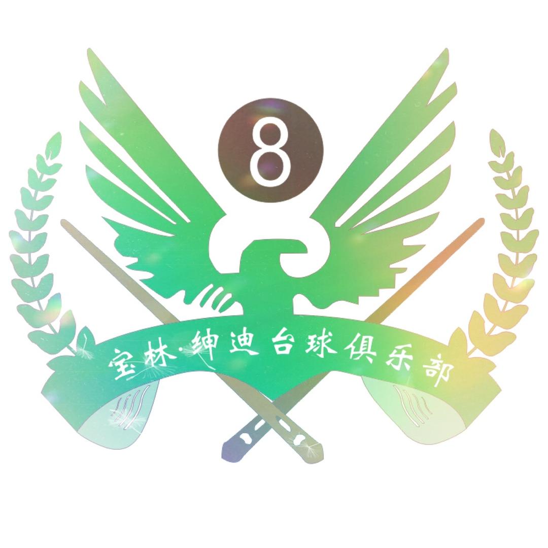 宝林·绅迪台球