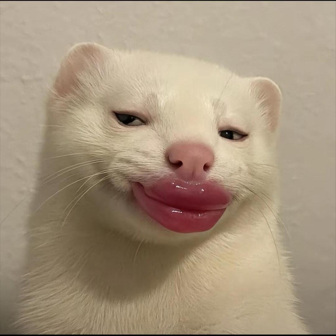 豆沙（英雄联盟）