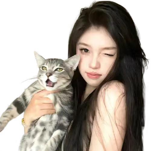 🐱星空