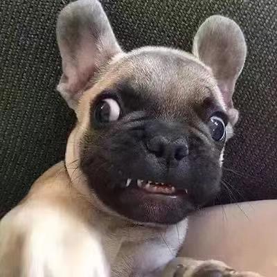 AAA