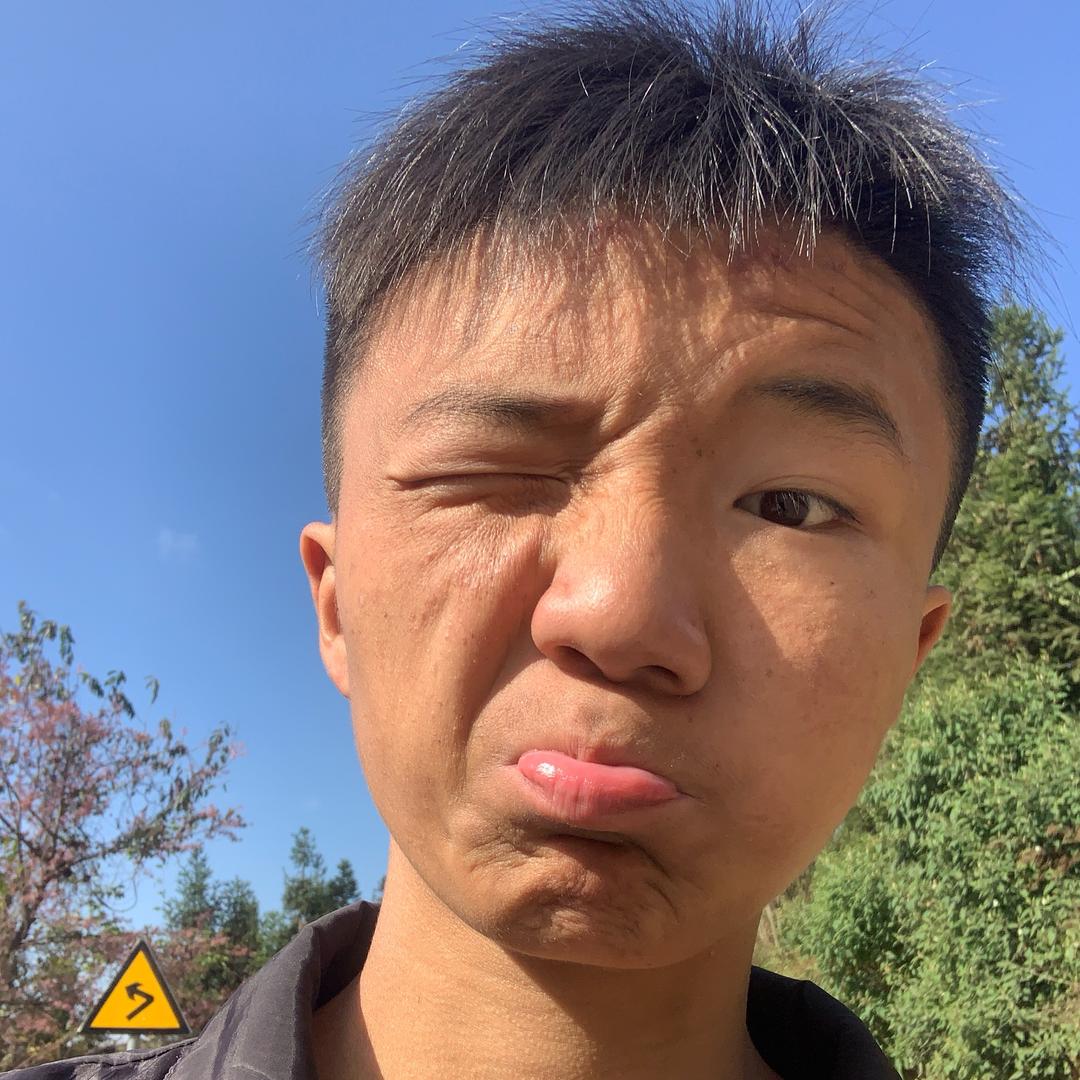 文新
