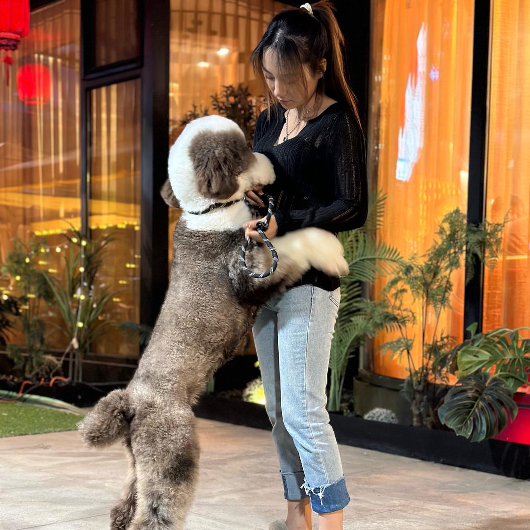 领航犬业(不贵的巨贵)