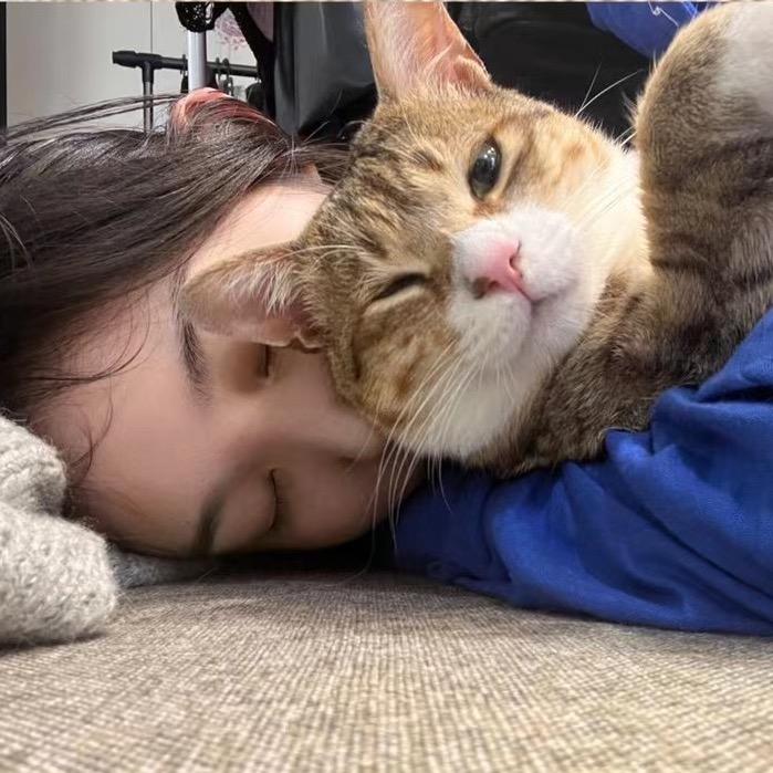 哇塞王