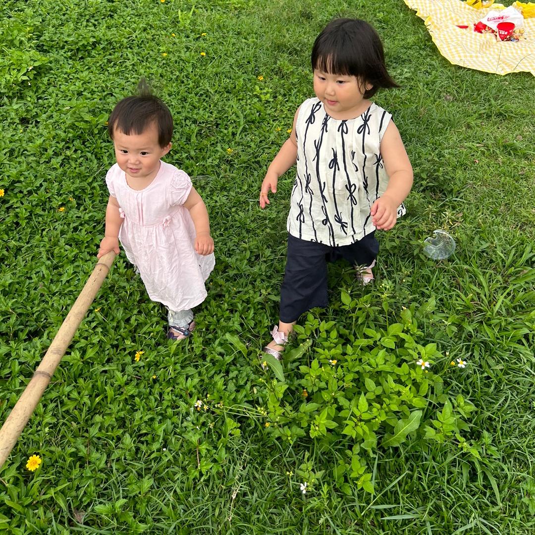 两只小朱