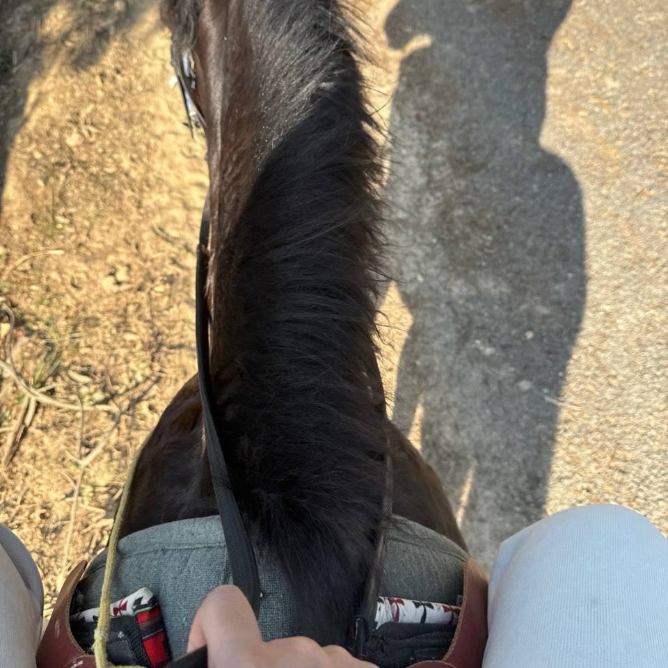 优优  （新乡男主角）