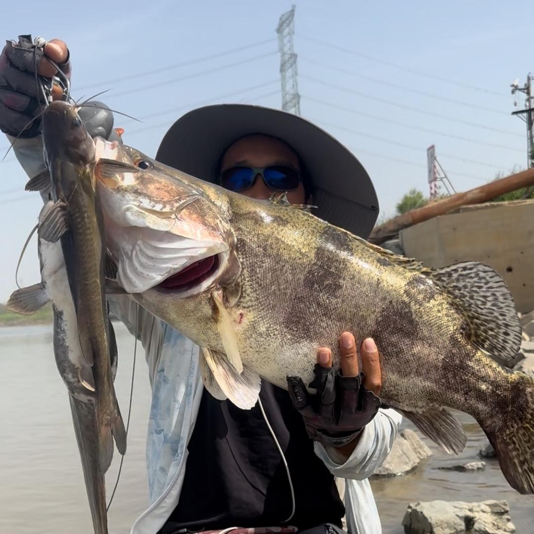 阿飞🎣游钓(路亚)