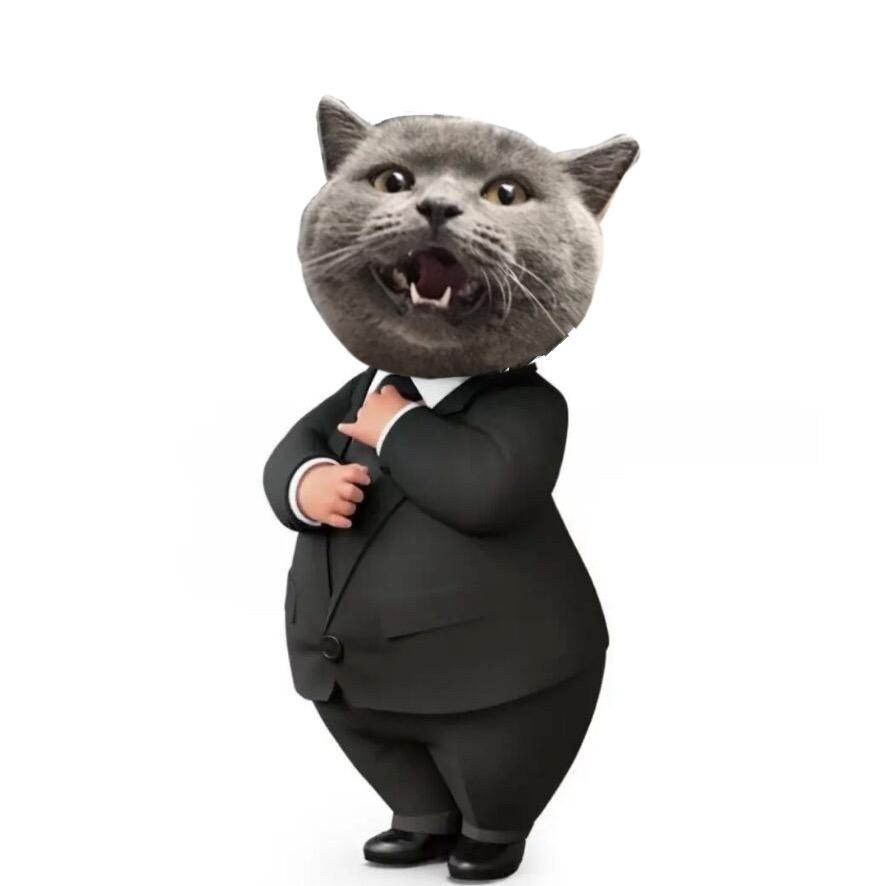 hello毛毛🐈‍⬛