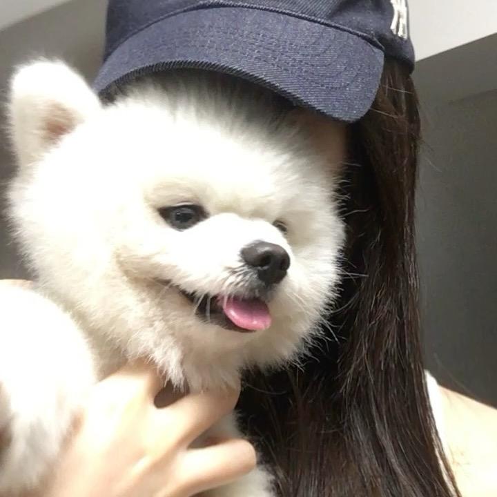 慢漫曼