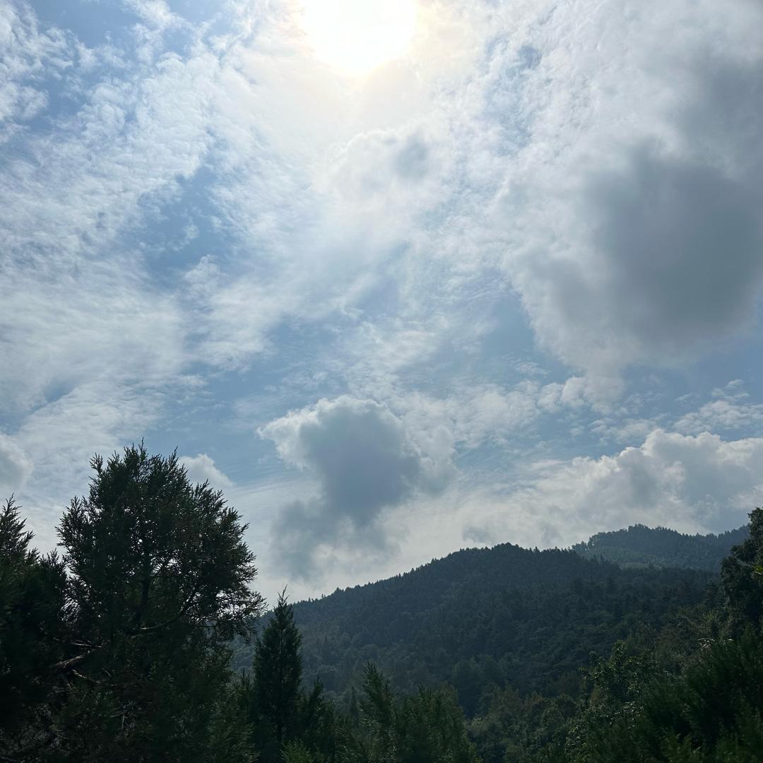 看山是山☼☾