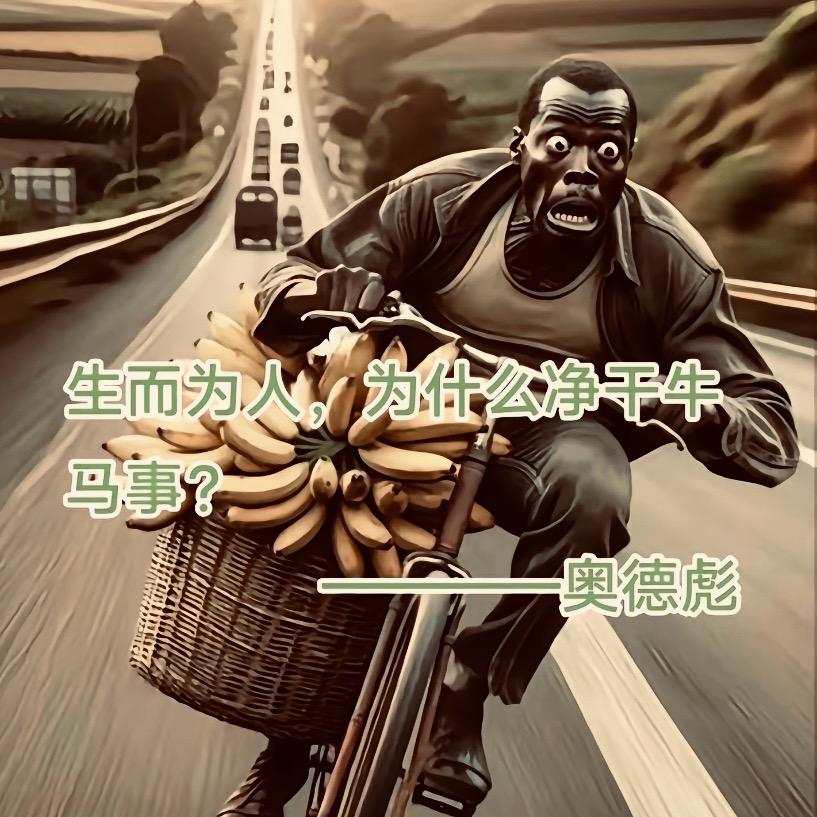 木木哥