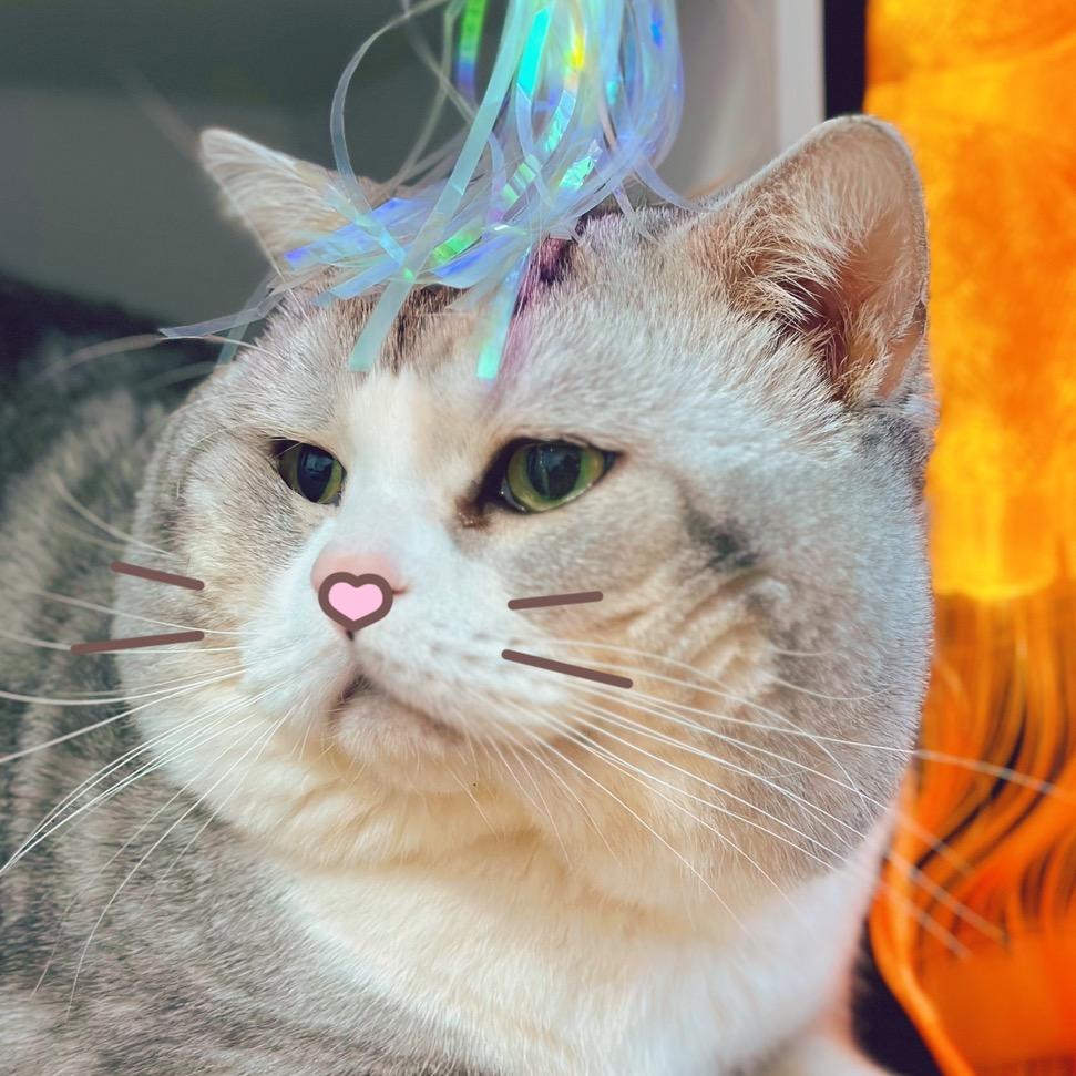 代表猫猫消灭你