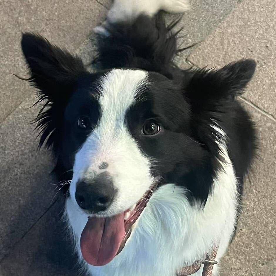 ㅤㅤㅤㅤ彭于晏