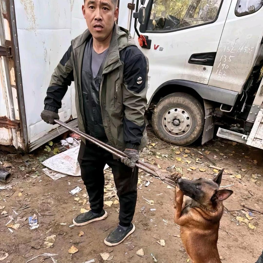 山东套狗王（套不中全额退）