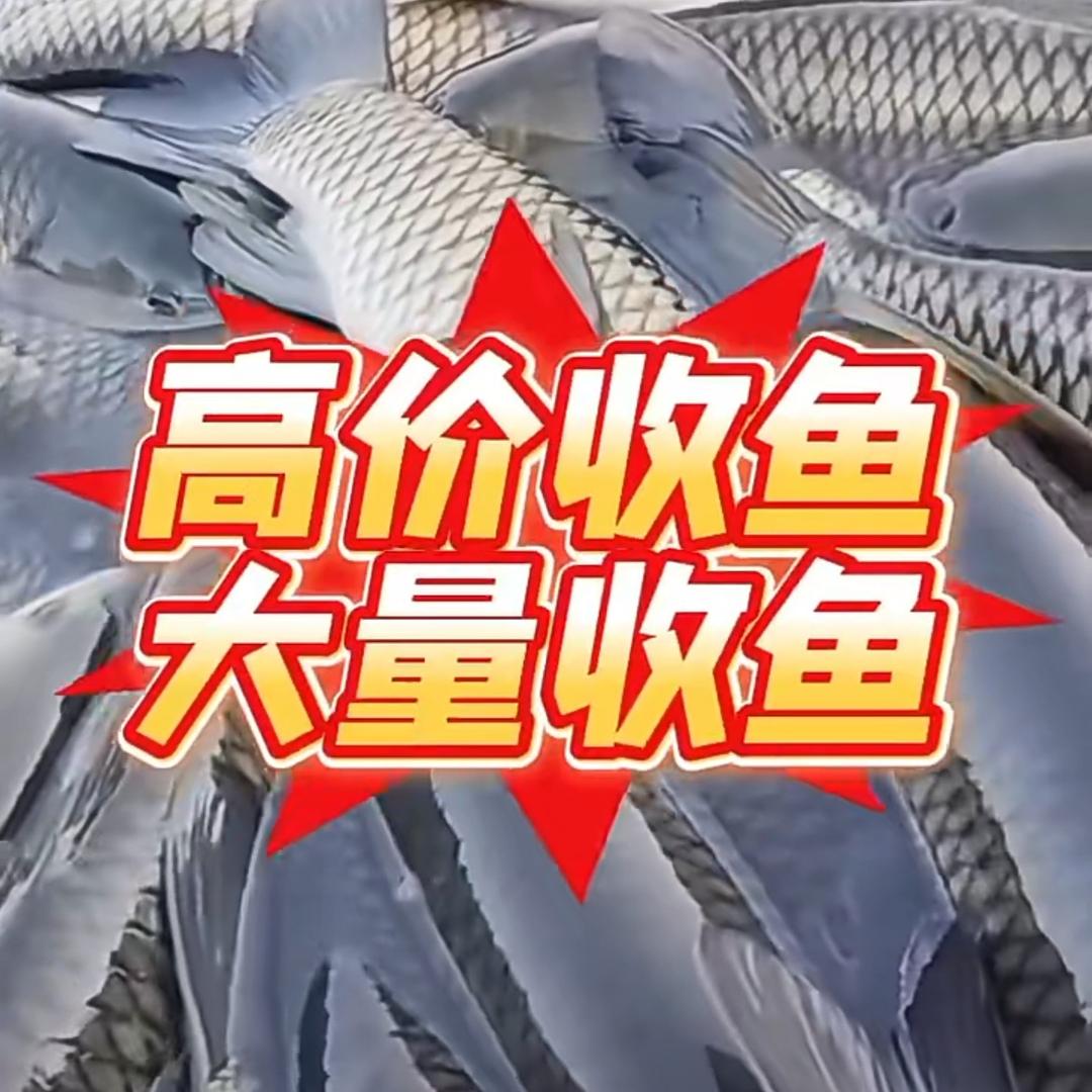 品    味    人    生